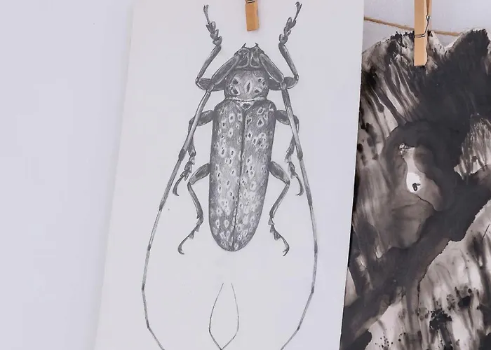 Bright Podgorze Cracow By Renters