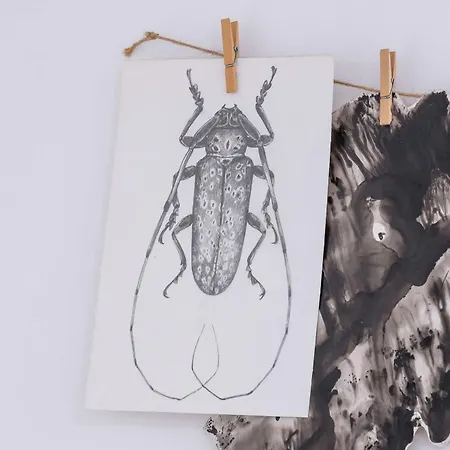 Bright Podgorze Cracow By Renters